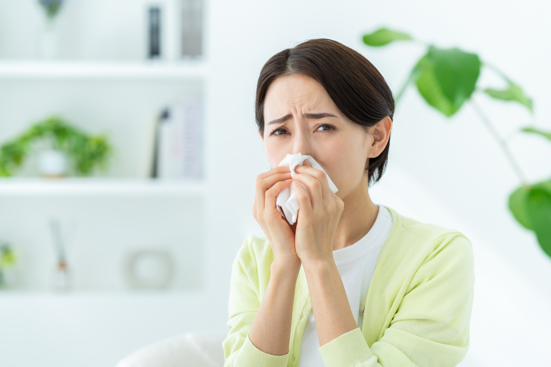 ヒノキ花粉はいつまで飛ぶ？地域別の飛散時期と症状を和らげる方法を解説